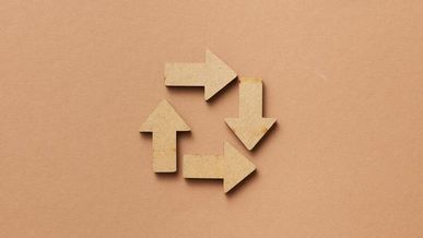 Les franchises écoresponsables : une tendance forte