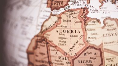 Introduction à la franchise en Algérie