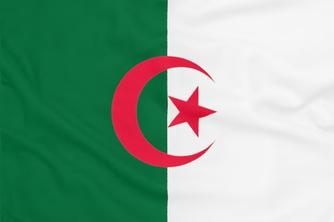 La franchise en Algérie : état des lieux et défis réglementaires
