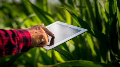 Retour sur 2022 et cap sur 2025 : Smart Farm, moteur de l’innovation agricole tunisienne au Sénégal