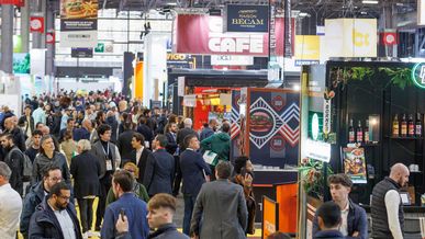 Venez sur le stand d’AfriqueFranchise.com et de AlgérieFranchise à Franchise Expo Paris, du 15 au 17 mars 2025, à Paris Porte de Versailles !